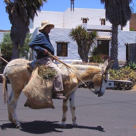 Finca Lanzarosy Guatiza Εξωτερικό φωτογραφία